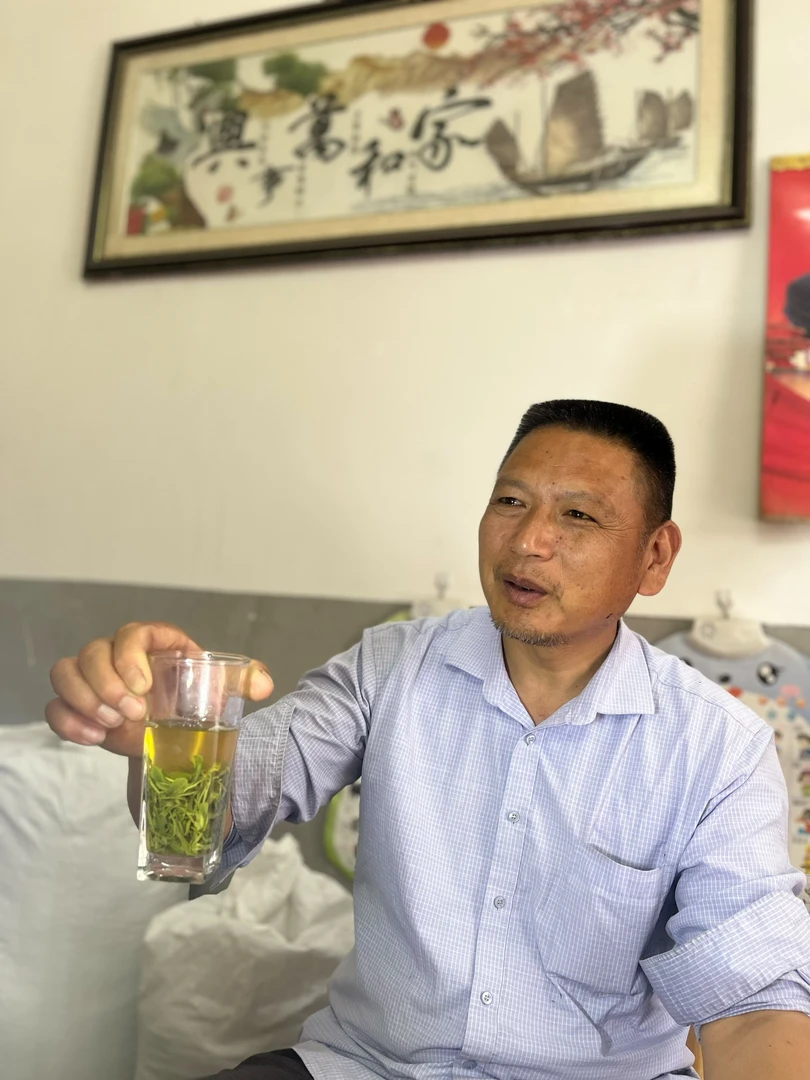 2025年林店茶麻场农家自採鲜叶（散装称重介意勿拍）
