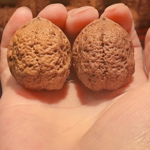 把件文玩核桃府上有龙阴阳对42