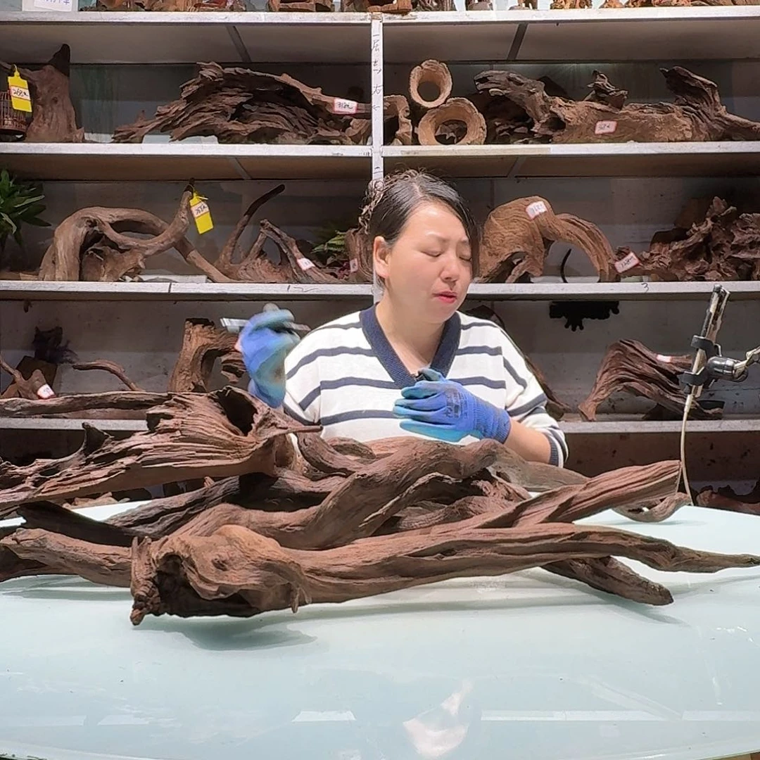 紫砂紫柚沉木不包损介意慎拍C****s3645紫柚枝条