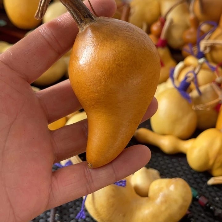 红***风葫芦哈哈哈哈哈哈哈