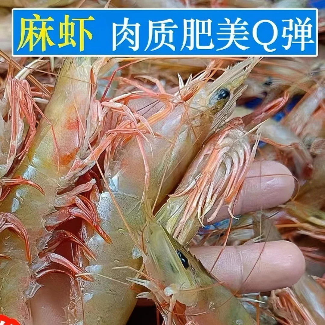 麻虾 卢虾深海虾阳江海鲜天然海麻虾（部分带膏）鲜冻海虾宝宝辅食约40头/斤