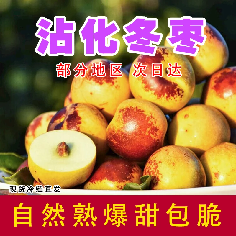 山东沾化冬枣原产地现摘现发
