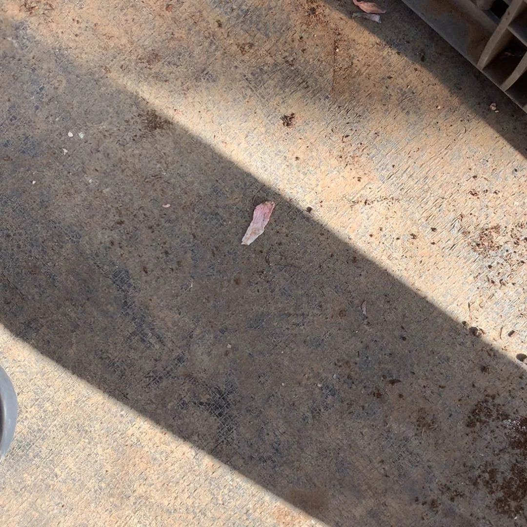 安***夏那就是说他也不会在