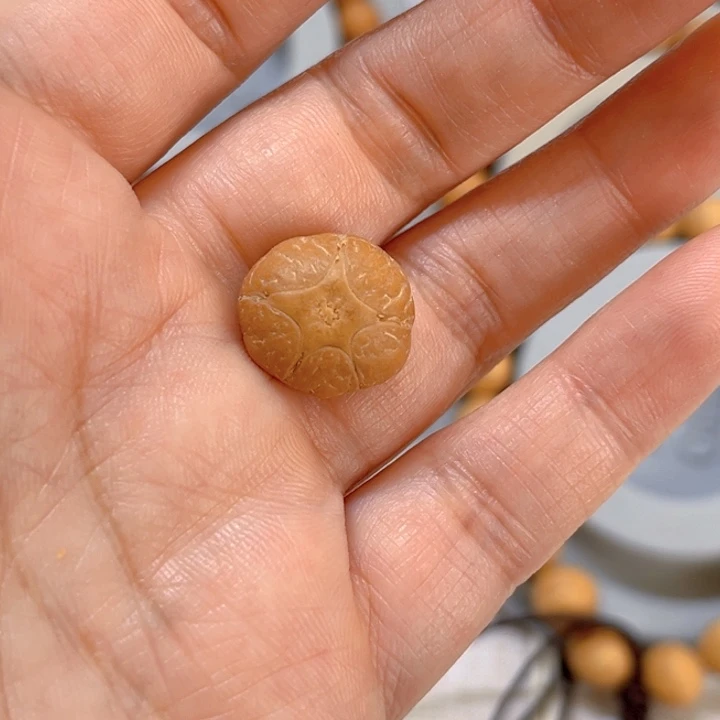 凤眼菩提手串16五星单籽，86@5364