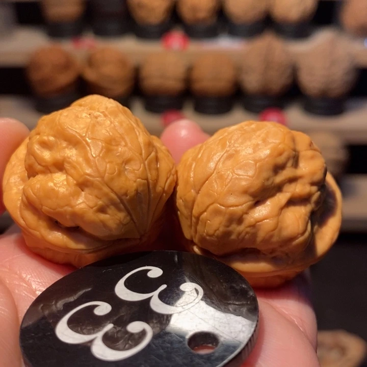 木质类绝版超肥铁鹦鹉蟾33尺寸