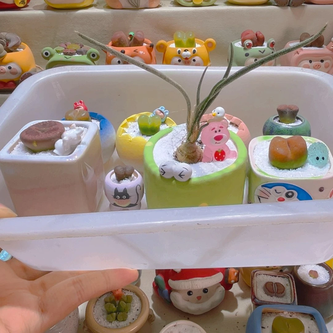 ?**i木子宝宝专属链接要铺面