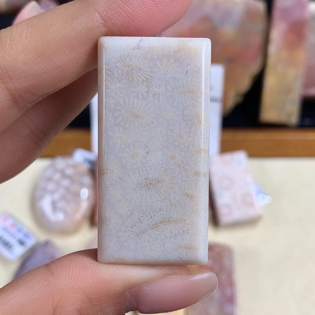 颈饰未镶嵌硅化珊瑚（珊瑚玉）6号虫