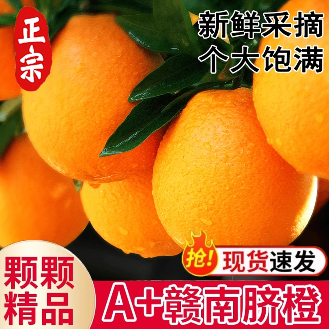 正宗江西赣南脐橙新鲜水果赣州产地直发手剥应季橙子甜橙整箱包邮