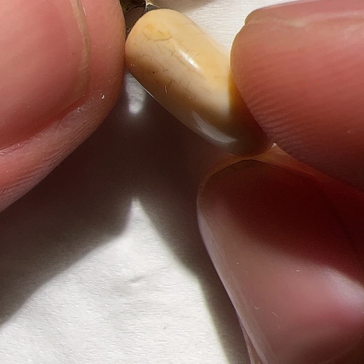 玻璃颈饰你在一起的