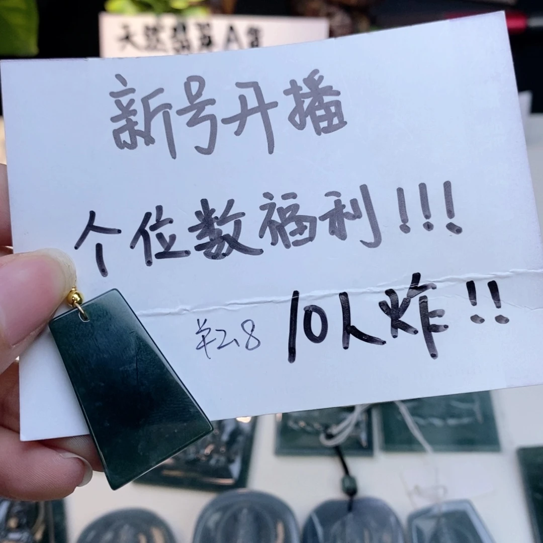 翡翠未镶嵌颈饰……