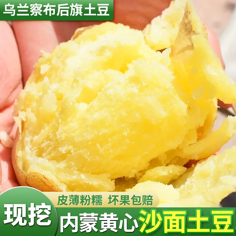 乌兰察布大土豆现挖内蒙新鲜黄心黄皮土豆沙面马铃薯9斤包邮
