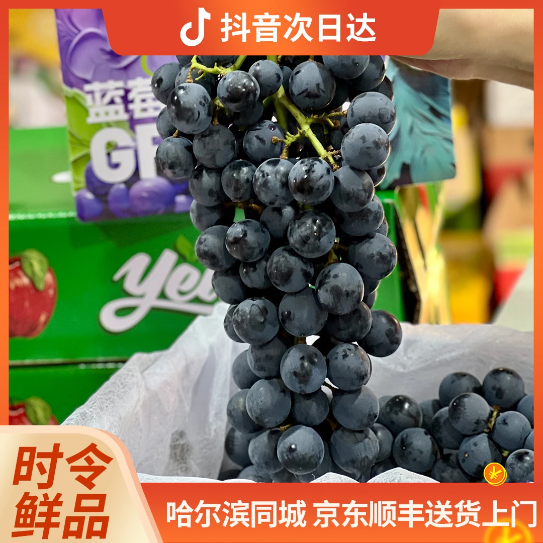 蓝莓葡萄 2.5-3斤/箱 轻微掉粒（介意慎拍）云南省