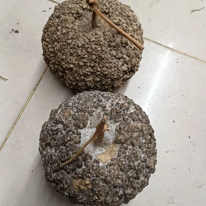 虱****痒满天星疙瘩葫芦满天星疙瘩葫芦！