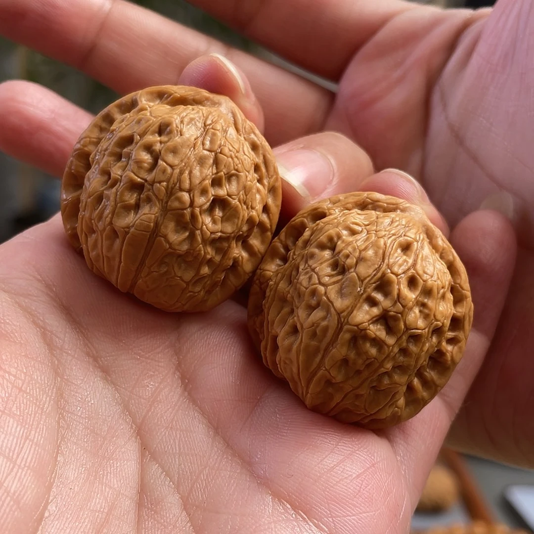 桃核把件34×31尺野生夜明珠（微蹭尖）CN01459