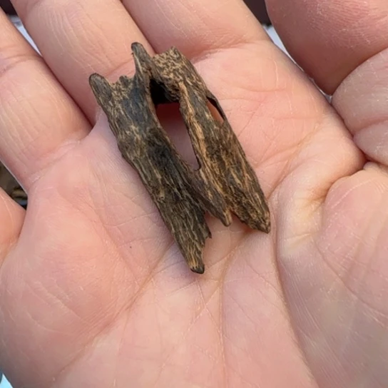 沉香摆件海南沉水黄熟香1克