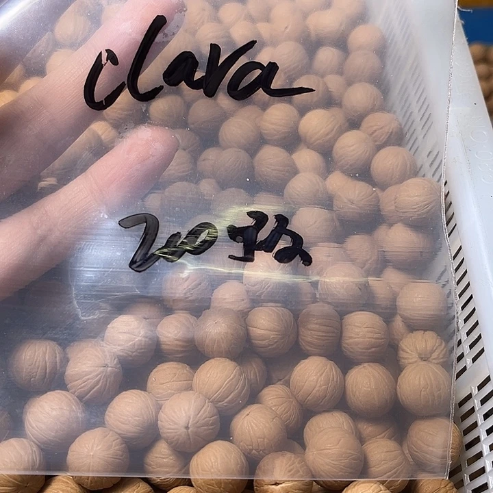 C***a手串猴头核桃聚宝盆散珠200颗