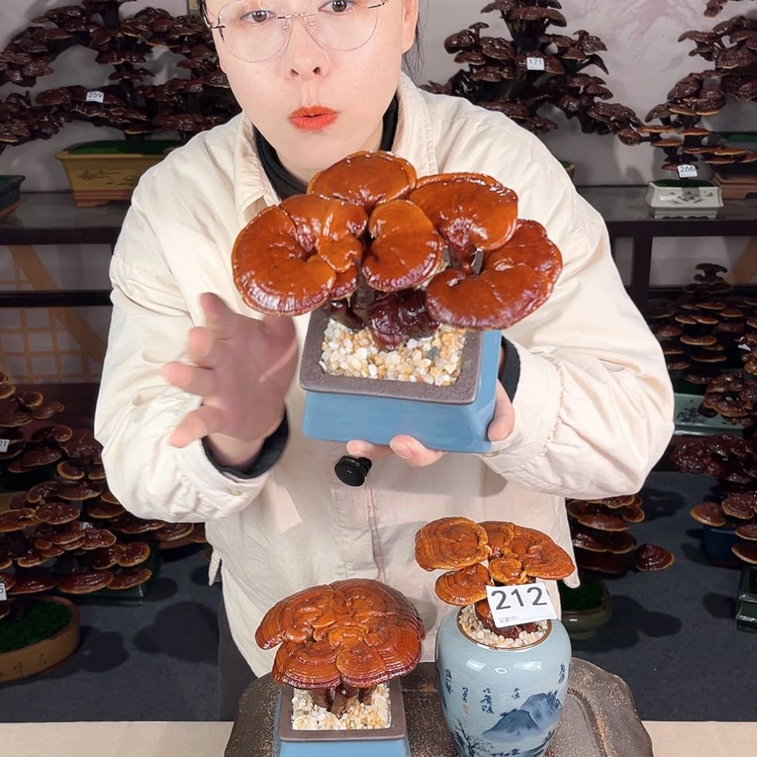 万事如意8888888