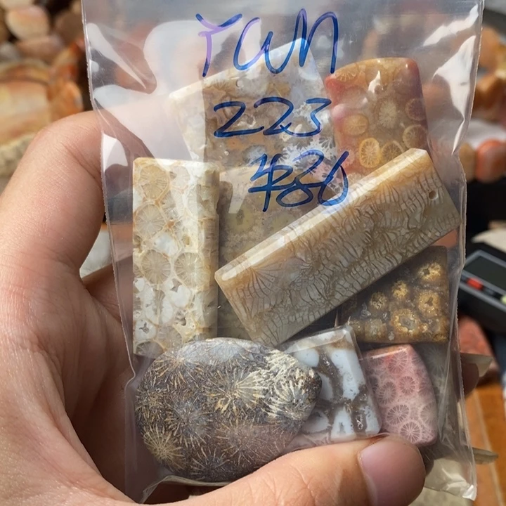 Y****颈饰未镶嵌硅化珊瑚（珊瑚玉）
