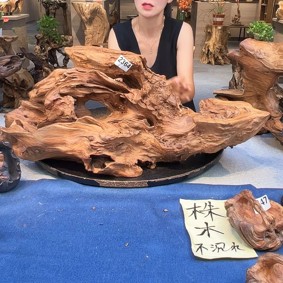 江***雪木2364fggxcvvcvvcvhhj