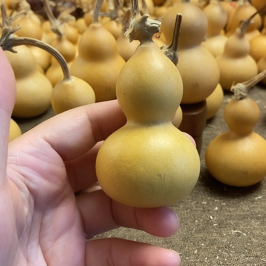文玩葫芦 完美主义者 慎拍91