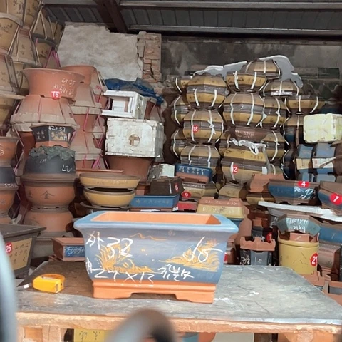 紫砂花盆四方一个