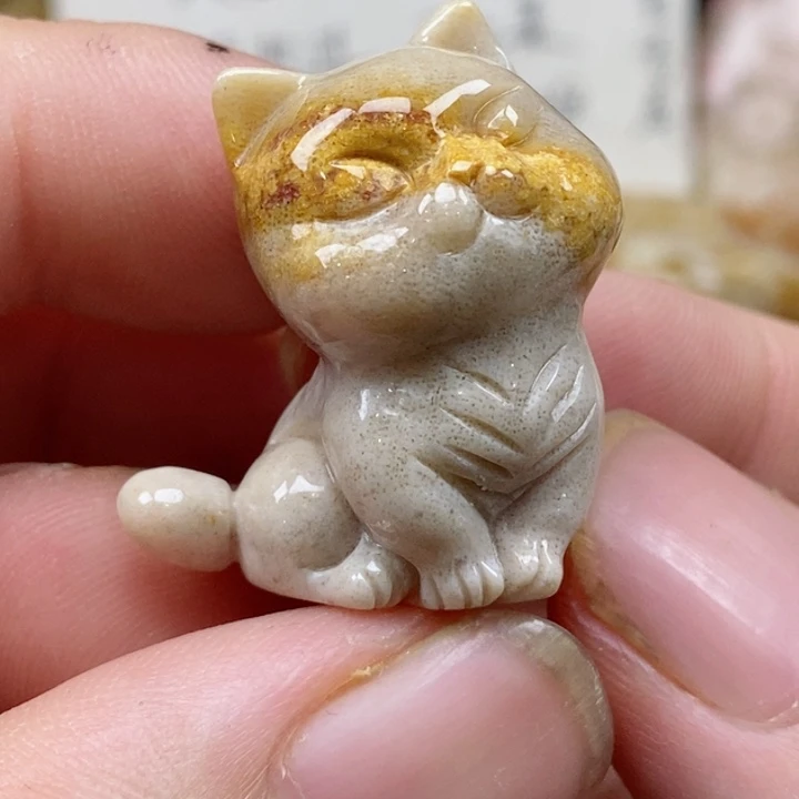 颈饰未镶嵌硅化珊瑚(珊瑚玉)小摆件