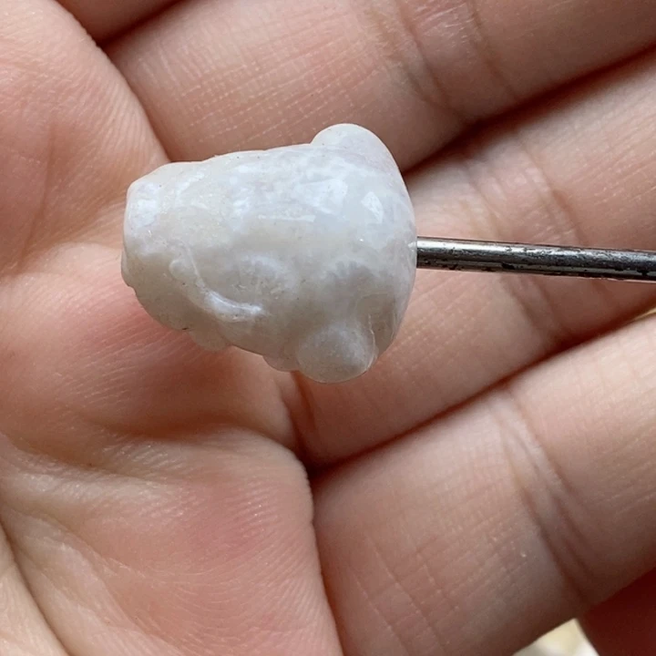颈饰未镶嵌硅化珊瑚（珊瑚玉）悠*小
