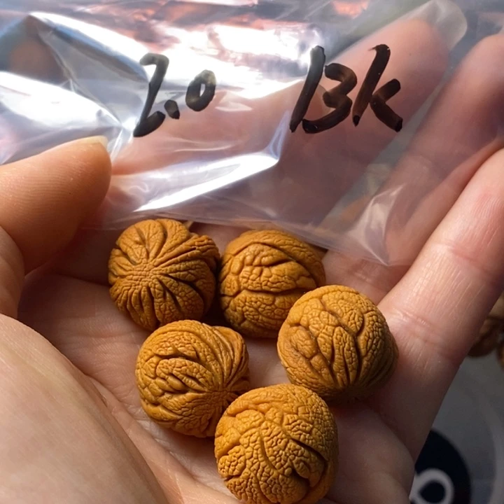 文玩核桃手串秦岭野生龙纹桃核20