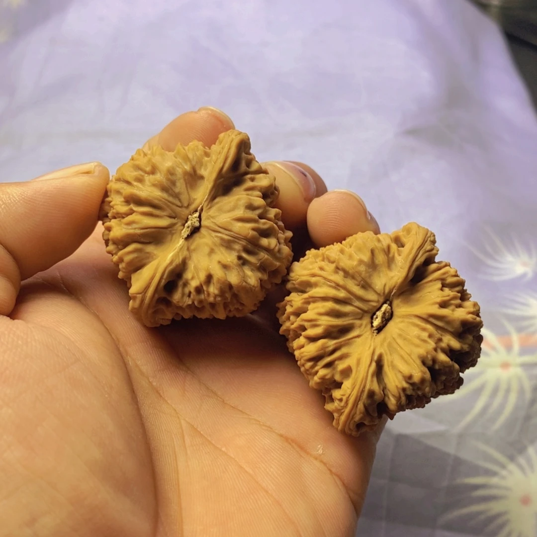 小***叮核桃文玩核桃南疆石有黄有色差009