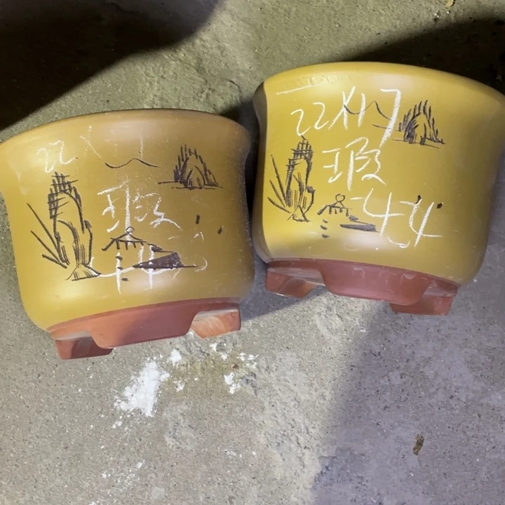 红陶紫砂紫砂紫砂