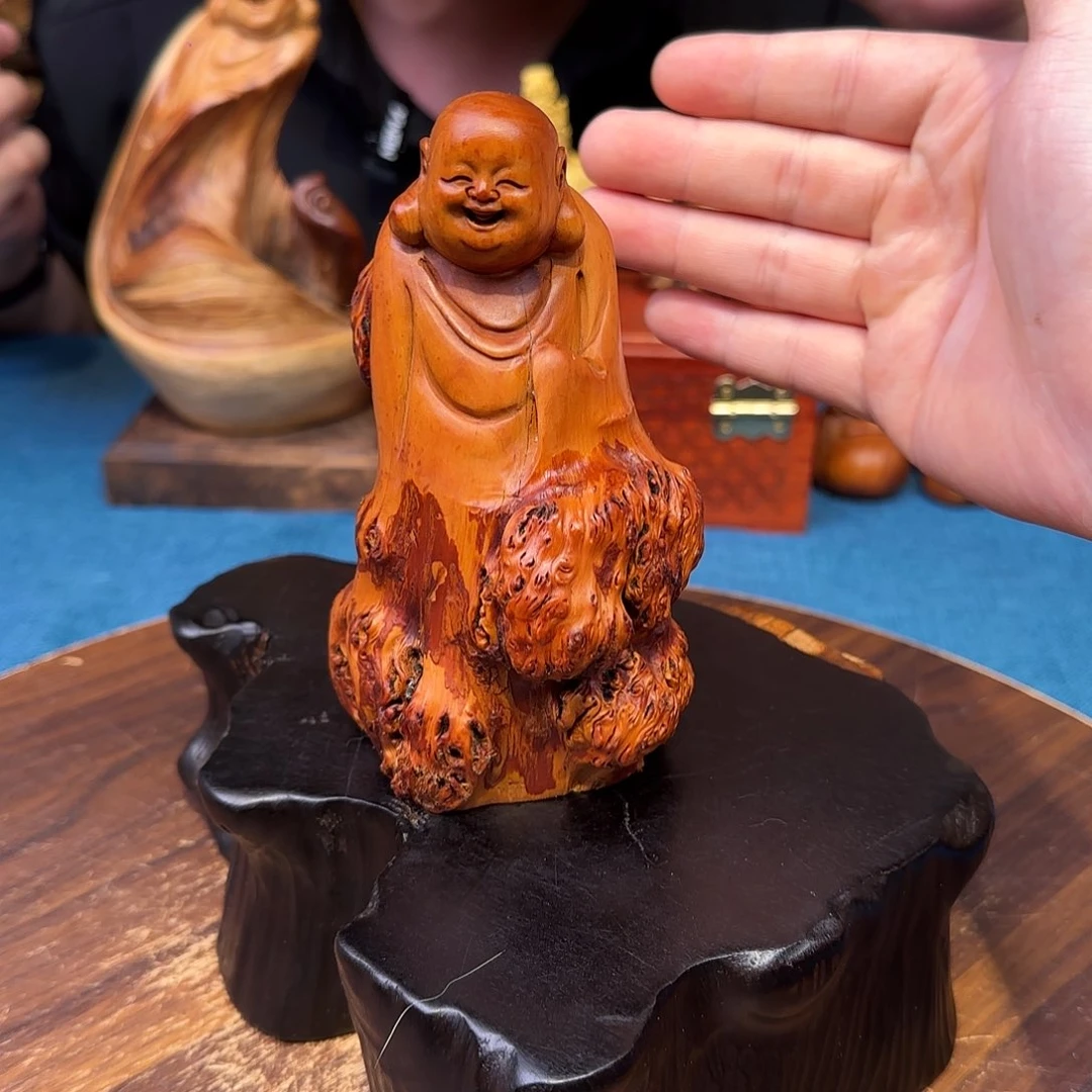 柏木（崖柏）关注一下