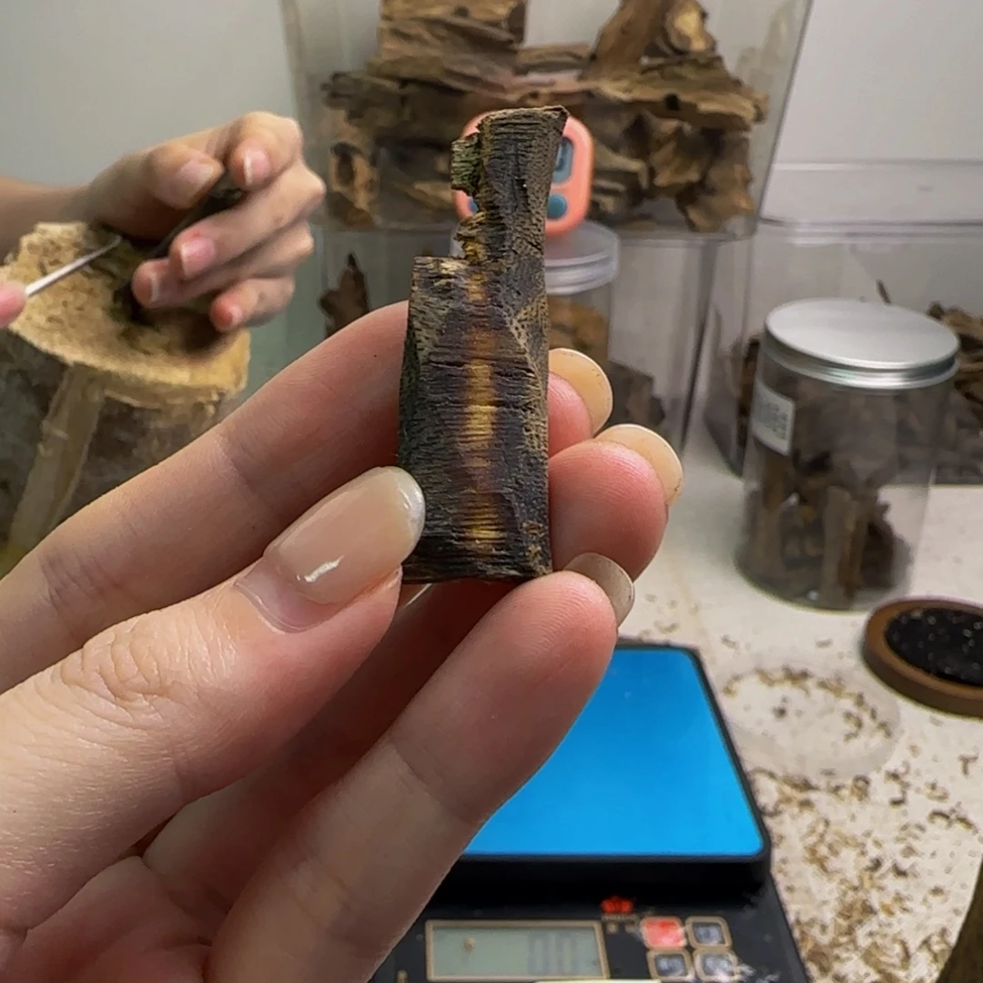 沉香沉香碎屑海南鸡母虫 70
