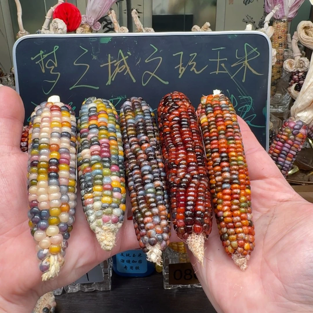 柏香籽/百香籽吊坠莫****为