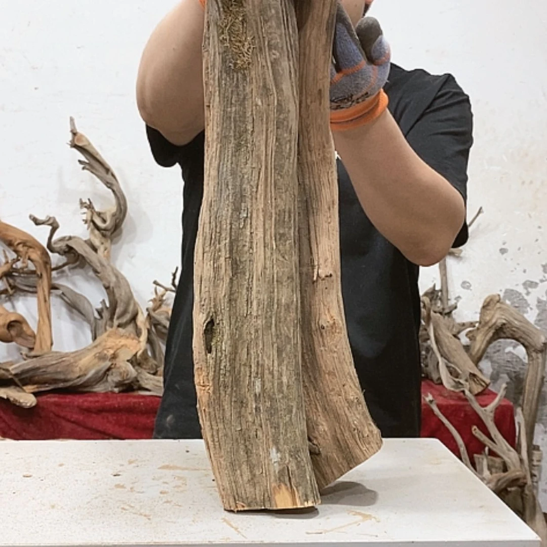 【闪购商品】柏木家***犬我们都是好孩子