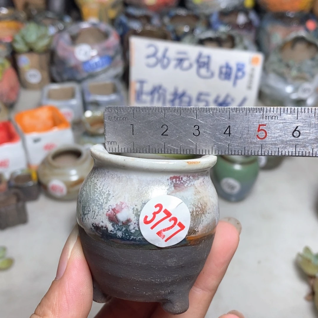 拍5送一个小礼物