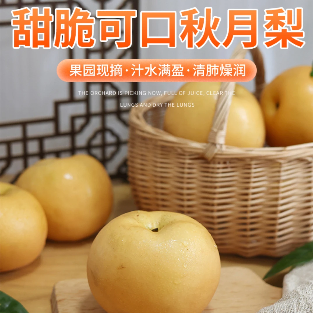 正宗秋月梨当季新鲜水果脆甜多汁细腻香甜包邮