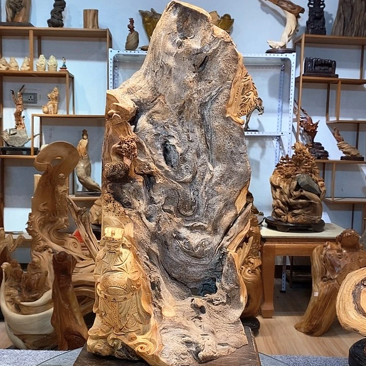 柏木（崖柏）果****0太行崖柏