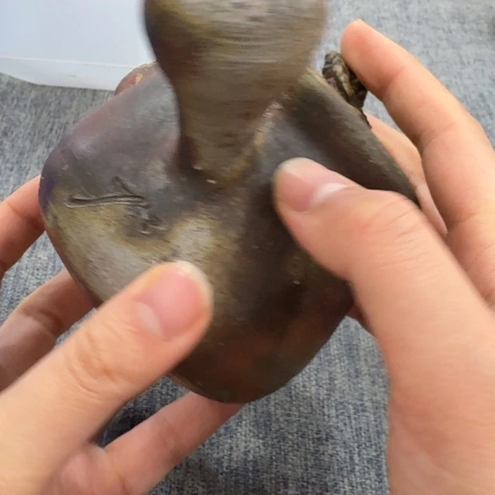 非常美丽漂亮的物品