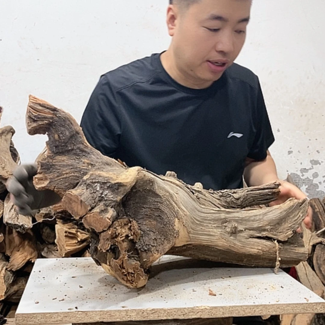 【闪购商品】柏木奇*我们都是好孩子