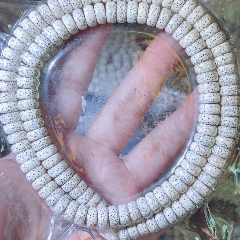 【闪购商品】吊坠星月菩提问*是