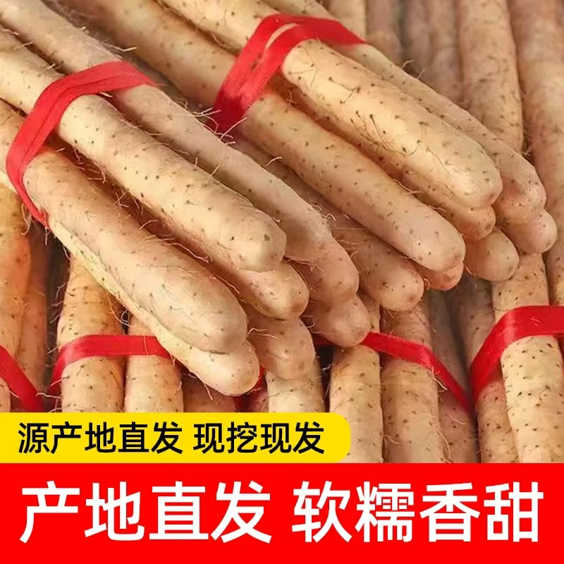 铁棍山药新鲜带土发货粉糯甘面5斤【宝宝辅食特惠装】