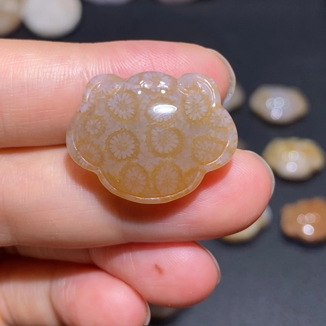 【闪购商品】未镶嵌珊瑚玉硅化玉