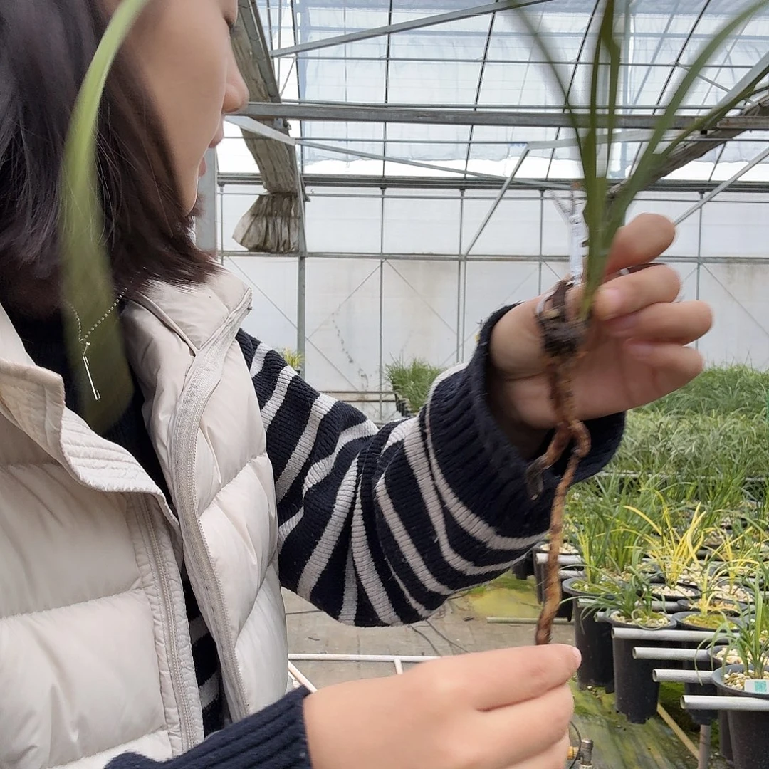 你***我完全开放12680008555