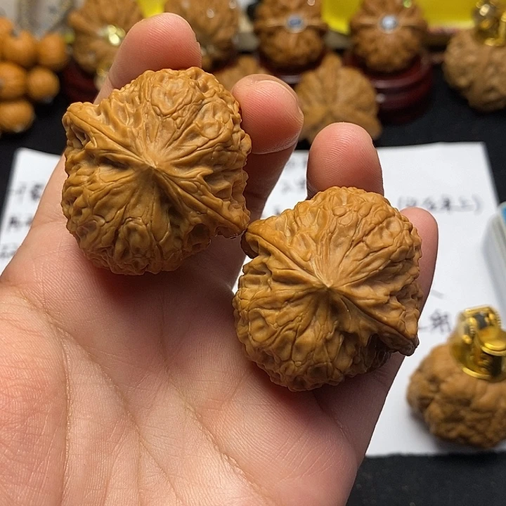 龙脊菩提吊坠大团圆