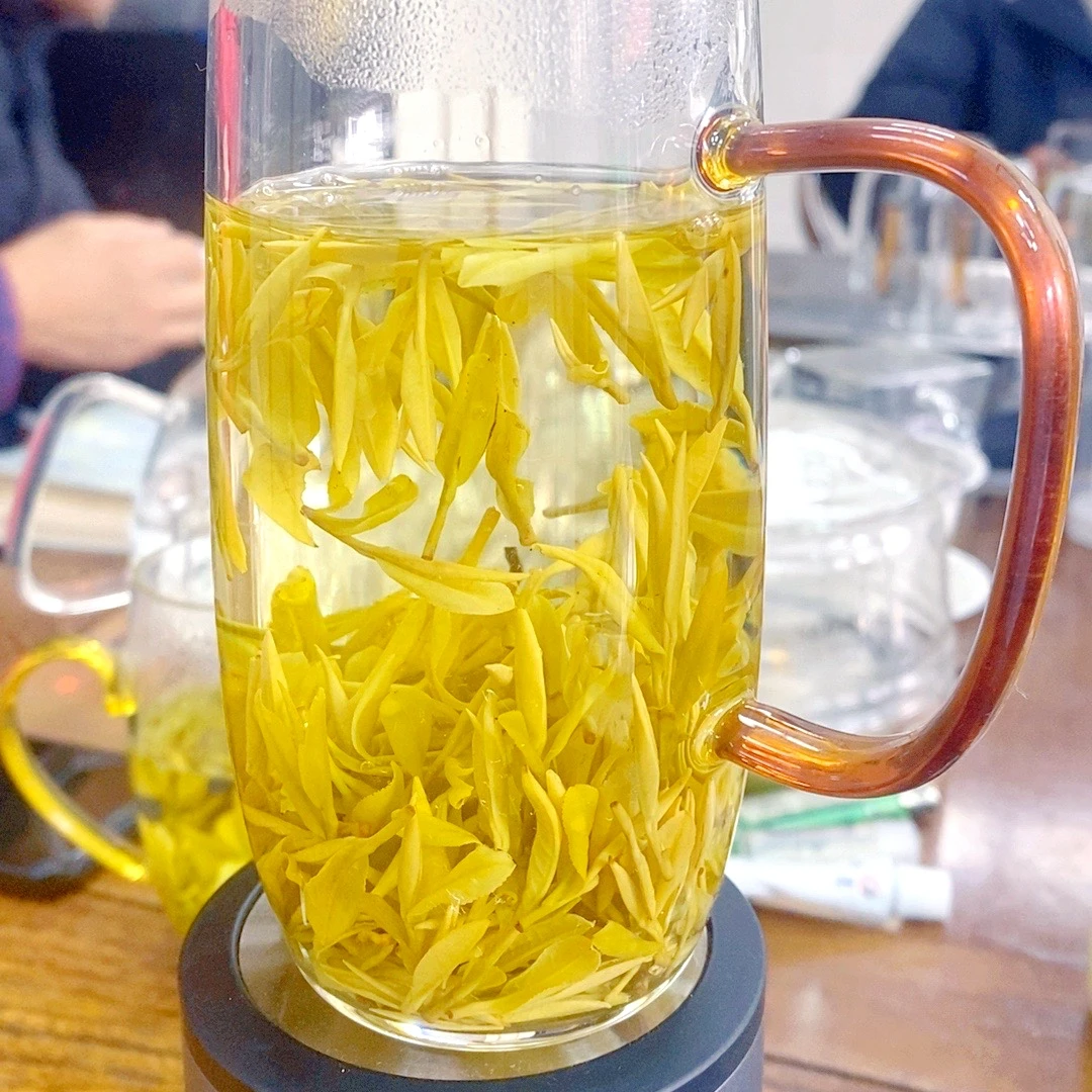 2025年开园头采黄金芽（原产地浙江安吉新茶）花香鲜甜回甘 AJ-580