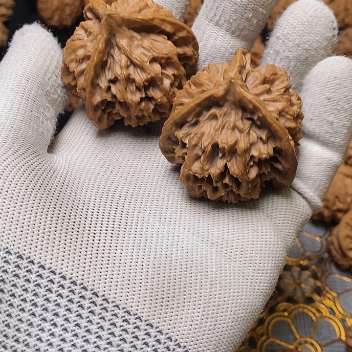 文玩核桃把件用****9秦岭三棱