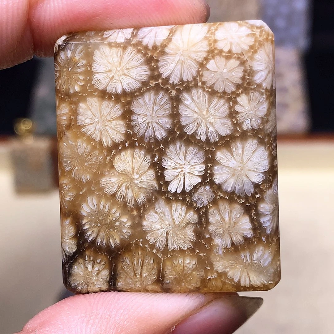 硅化玉珠宝奇石合金澋*