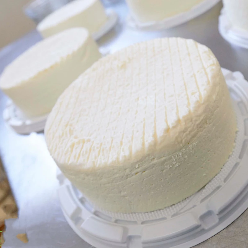 法国原装进口探险家干酪白奶酪即食涂抹百变女王芝士包邮125G