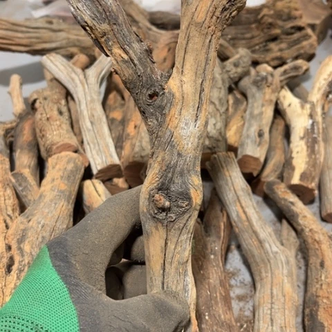 大果紫檀（缅甸花梨）N*