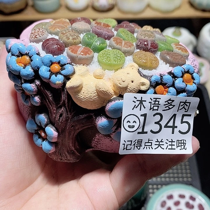精美盆栽 一物一拍 1345
